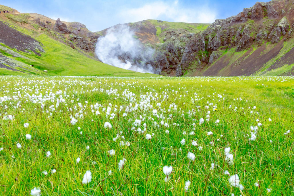 REYKJADALUR entre Amigos