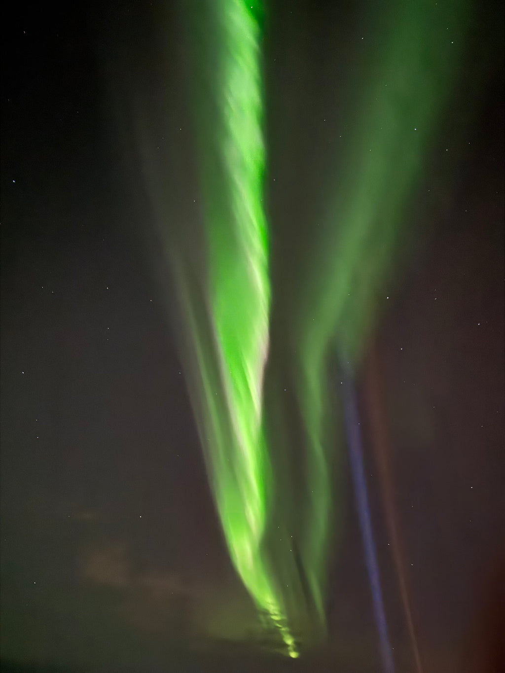 NORTHERN LIGHTS entre Amigos