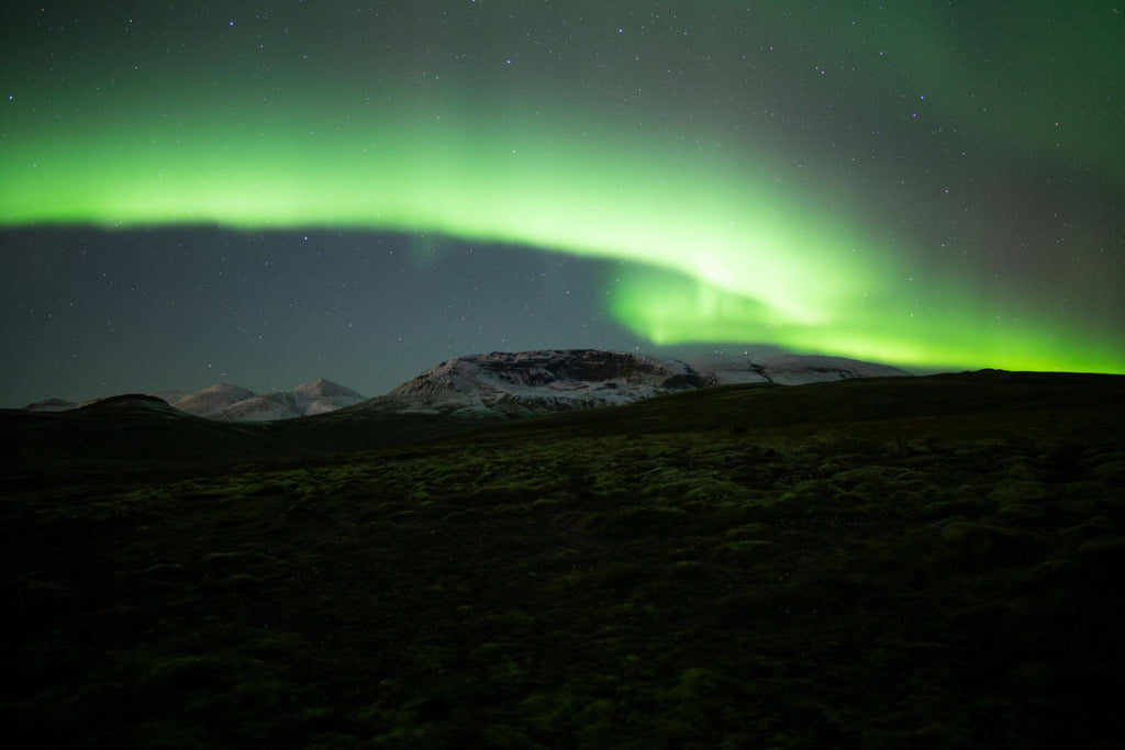 NORTHERN LIGHTS entre Amigos